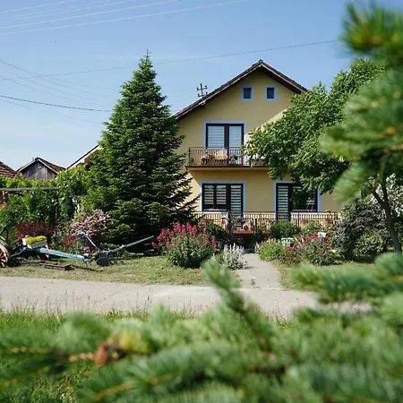 Etnobubi Apartment Novi Sip Exterior photo