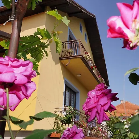 Etnobubi Apartment Novi Sip Exterior photo